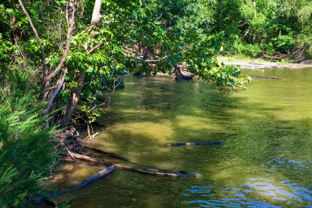Cadiz Kentucky real estate and homes for sale near Lake Barkley